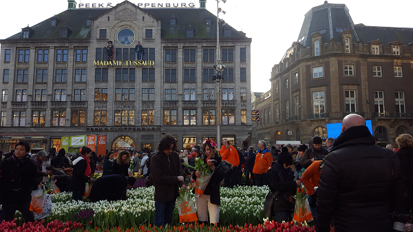 Национальный день тюльпана 2017 Амстердам - гид Наталия Смитс