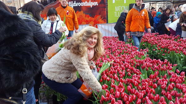 Национальный день тюльпана 2017 Амстердам - гид Наталия Смитс